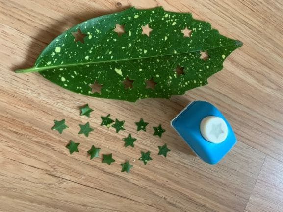Hole punch and leaf making leaf confetti