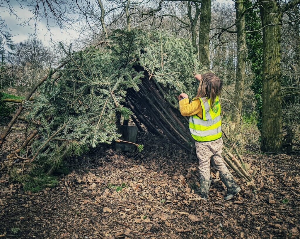 A child creating a den from branches from trees